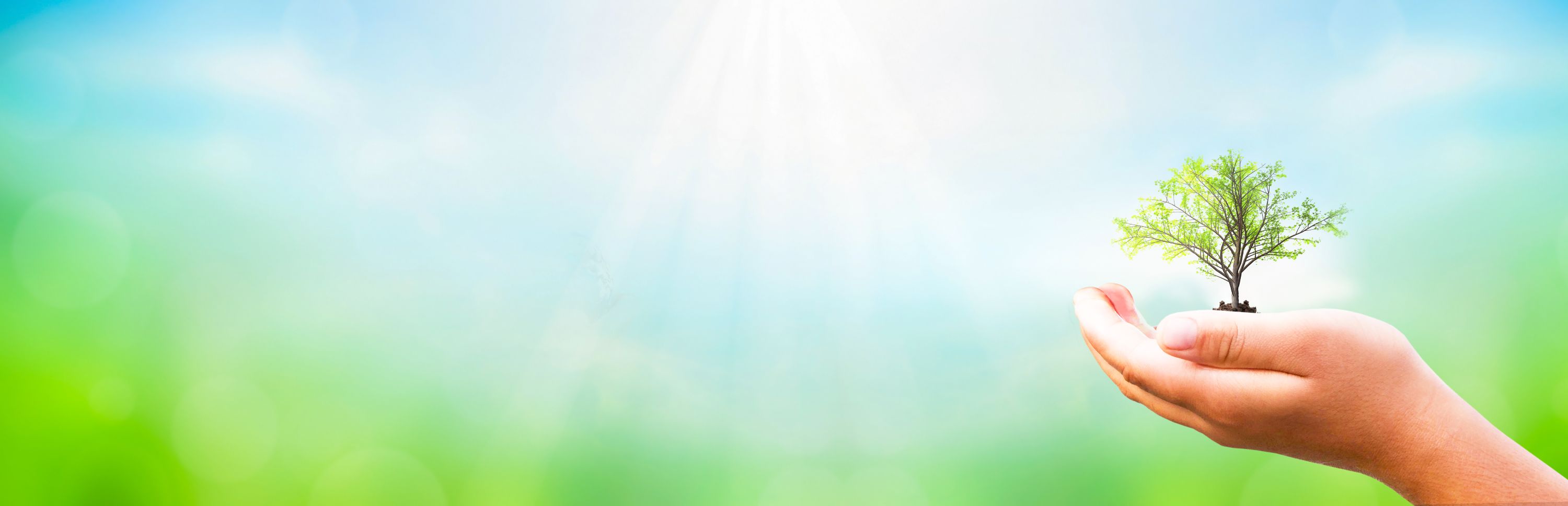 Environmentally Friendly Resized Shutterstock 1683363571